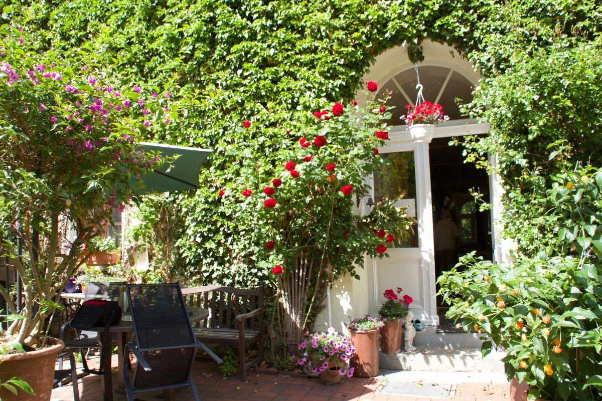 eingangsbereich-mit-rosen-und-sitzecke-altes-posthaus