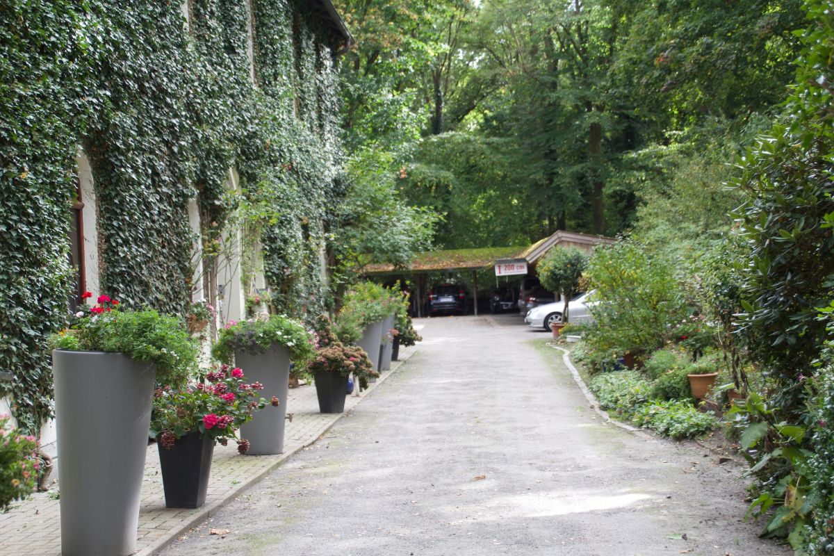 pension-altes-posthaus-parkplatz-und-einfahrt